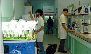 microalga_Labim_INT_laboratorio-contra-pandemia-covid19